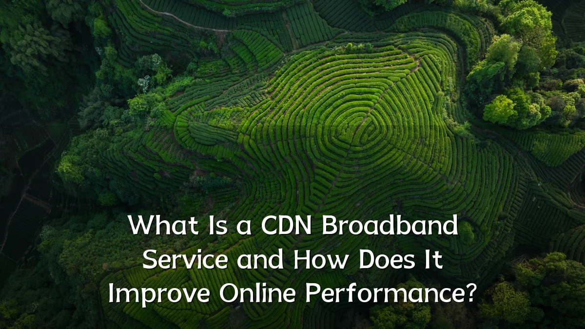What Is a CDN Broadband Service and How Does It Improve Online Performance?