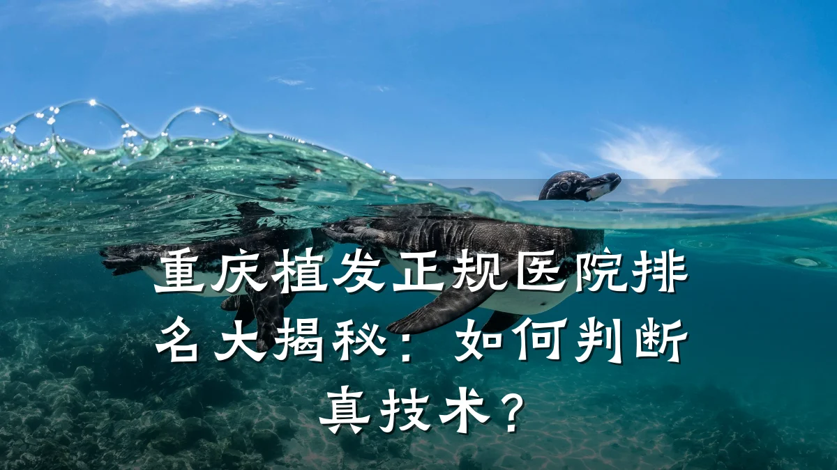 重庆植发正规医院排名大揭秘：如何判断真技术？