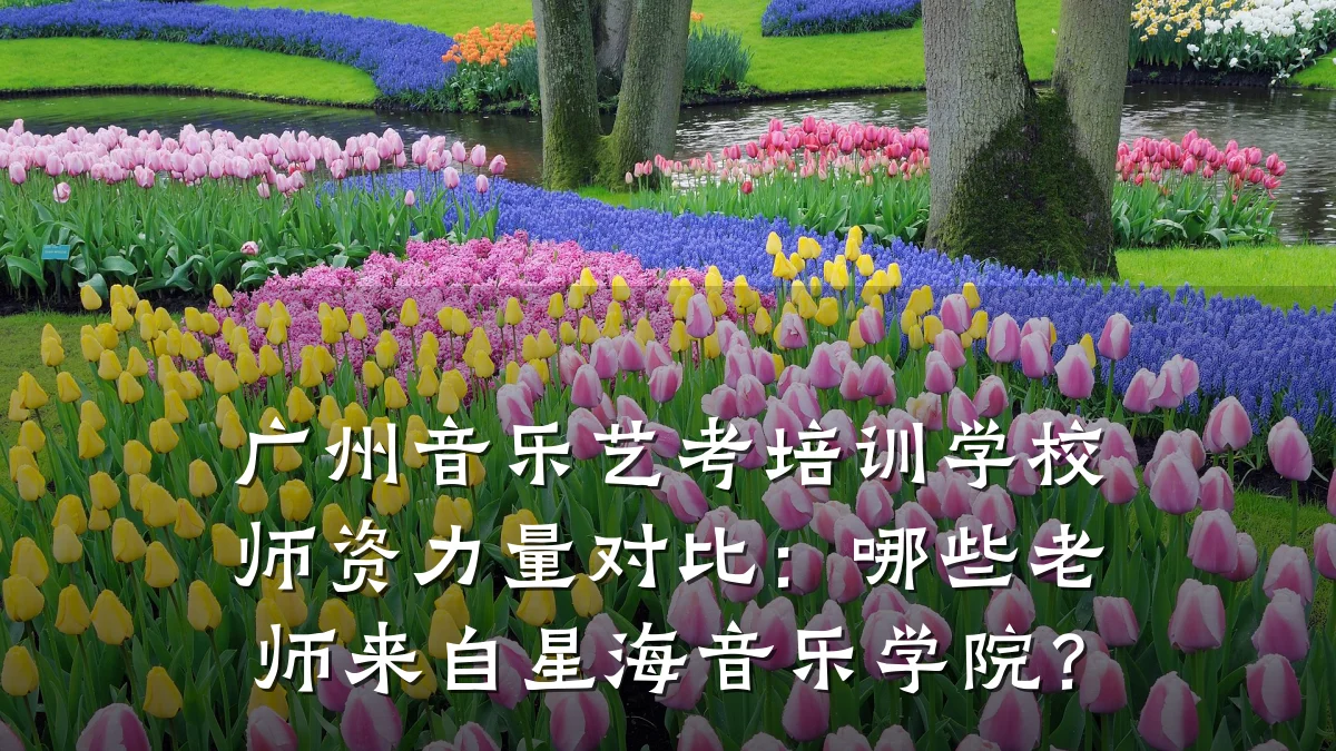 广州音乐艺考培训学校师资力量对比：哪些老师来自星海音乐学院？