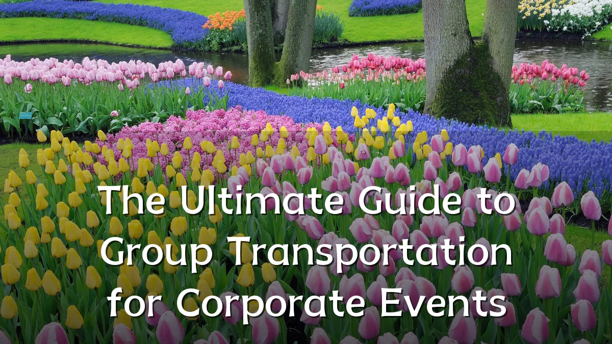 The Ultimate Guide to Group Transportation for Corporate Events
