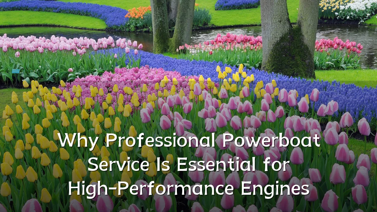 Why Professional Powerboat Service Is Essential for High-Performance Engines