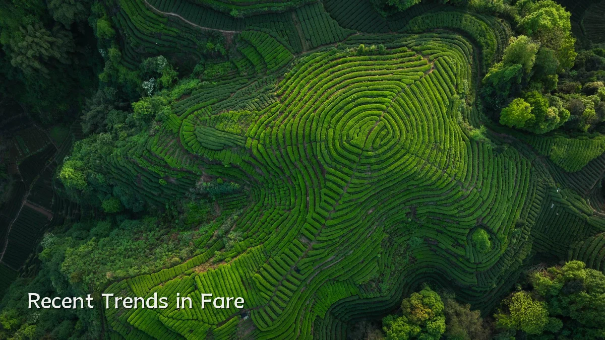 Recent Trends in Fare