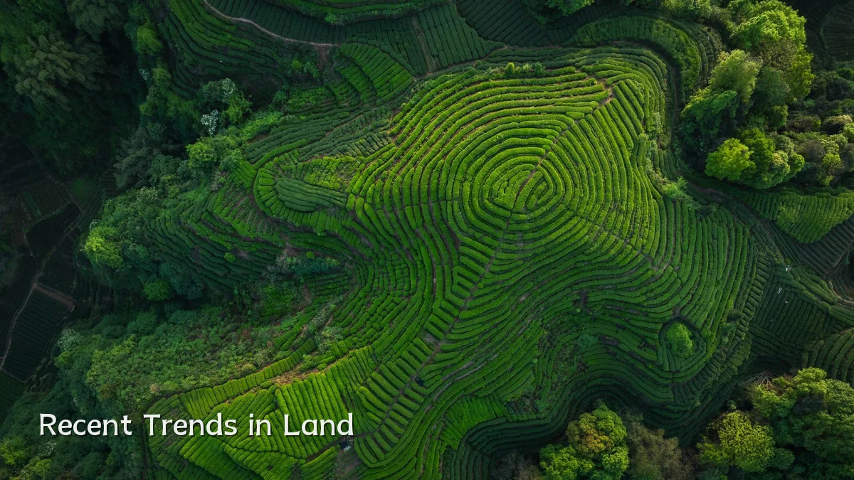 Recent Trends in Land