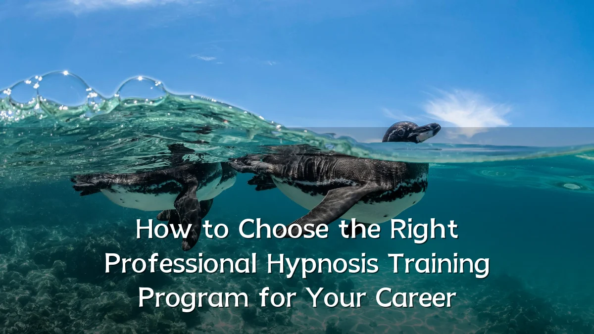 How to Choose the Right Professional Hypnosis Training Program for Your Career