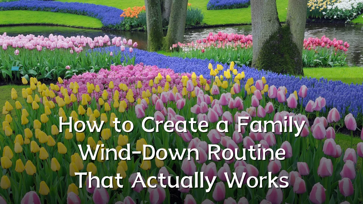 How to Create a Family Wind-Down Routine That Actually Works