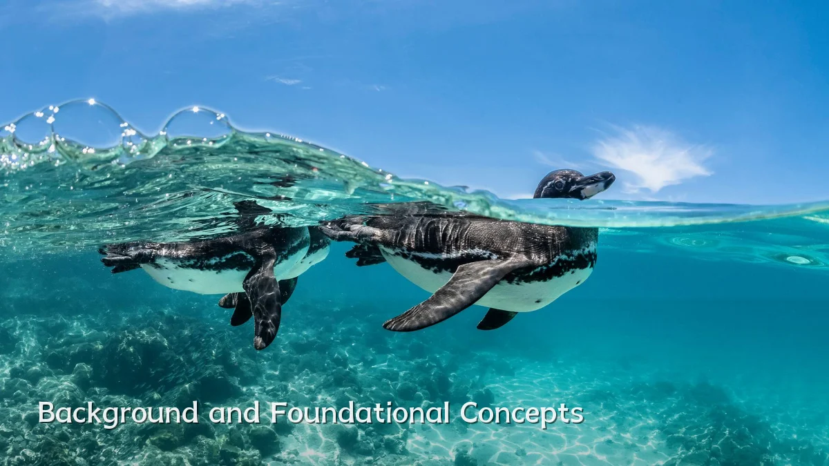 Background and Foundational Concepts