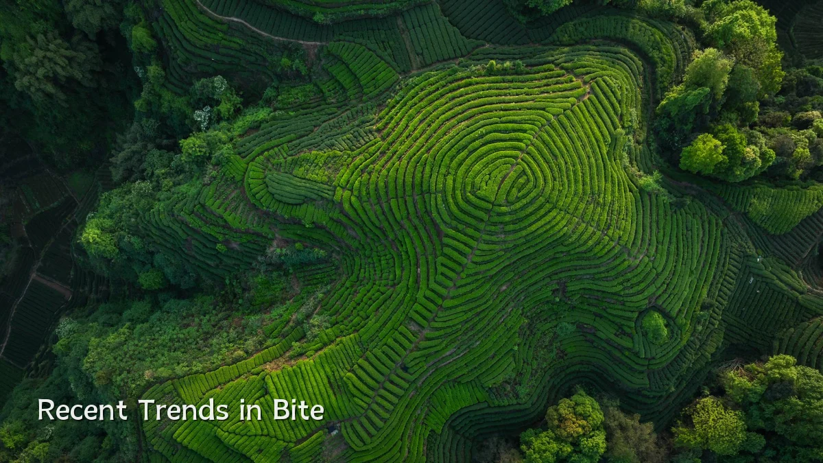 Recent Trends in Bite