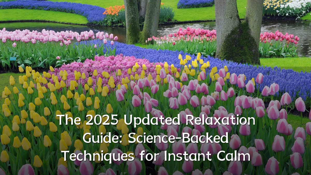 The 2025 Updated Relaxation Guide: Science-Backed Techniques for Instant Calm