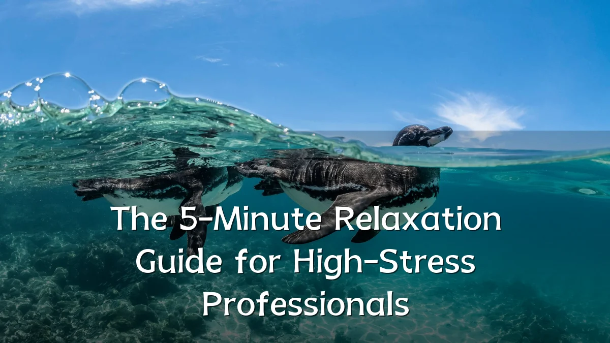 The 5-Minute Relaxation Guide for High-Stress Professionals