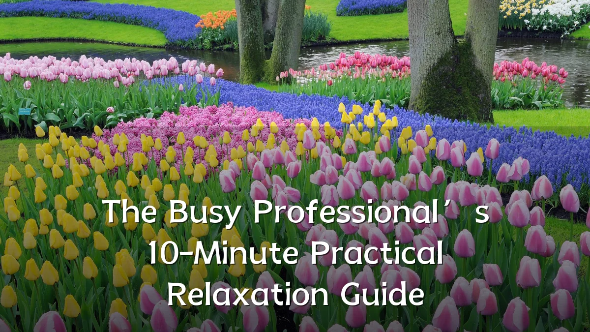 The Busy Professional’s 10-Minute Practical Relaxation Guide
