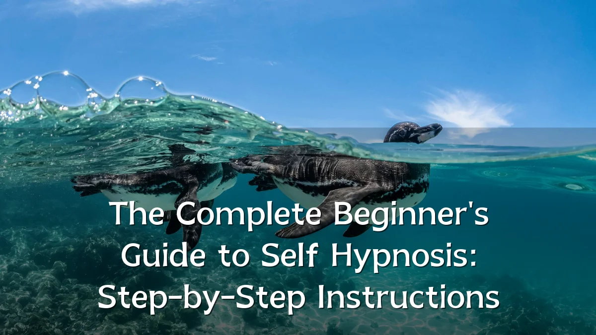 The Complete Beginner's Guide to Self Hypnosis: Step-by-Step Instructions