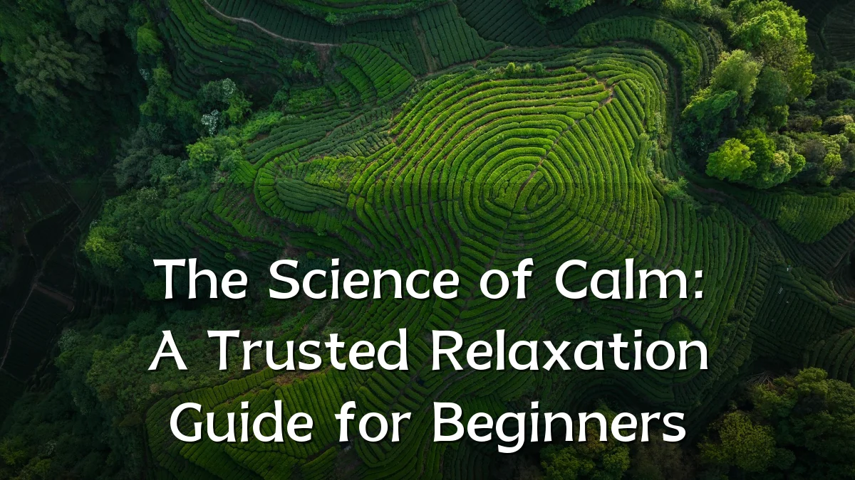 The Science of Calm: A Trusted Relaxation Guide for Beginners