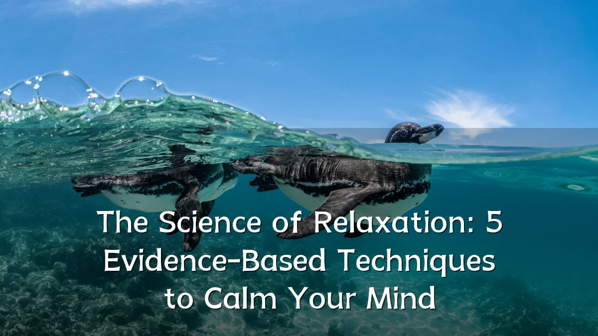 The Science of Relaxation: 5 Evidence-Based Techniques to Calm Your Mind
