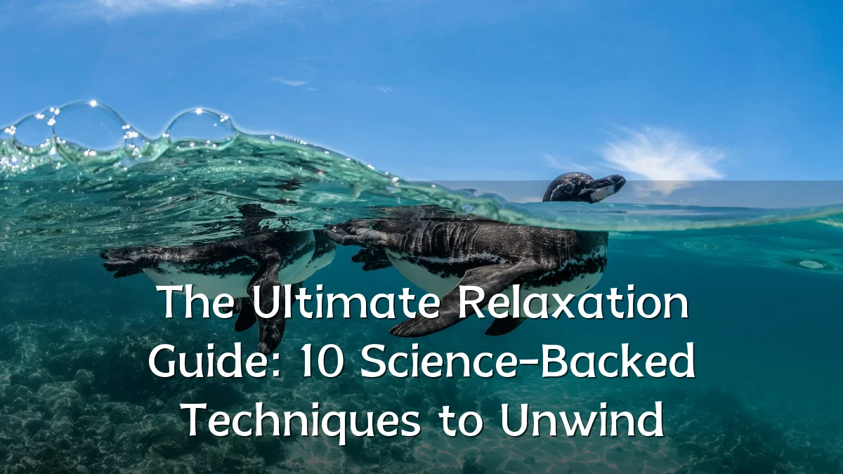 The Ultimate Relaxation Guide: 10 Science-Backed Techniques to Unwind