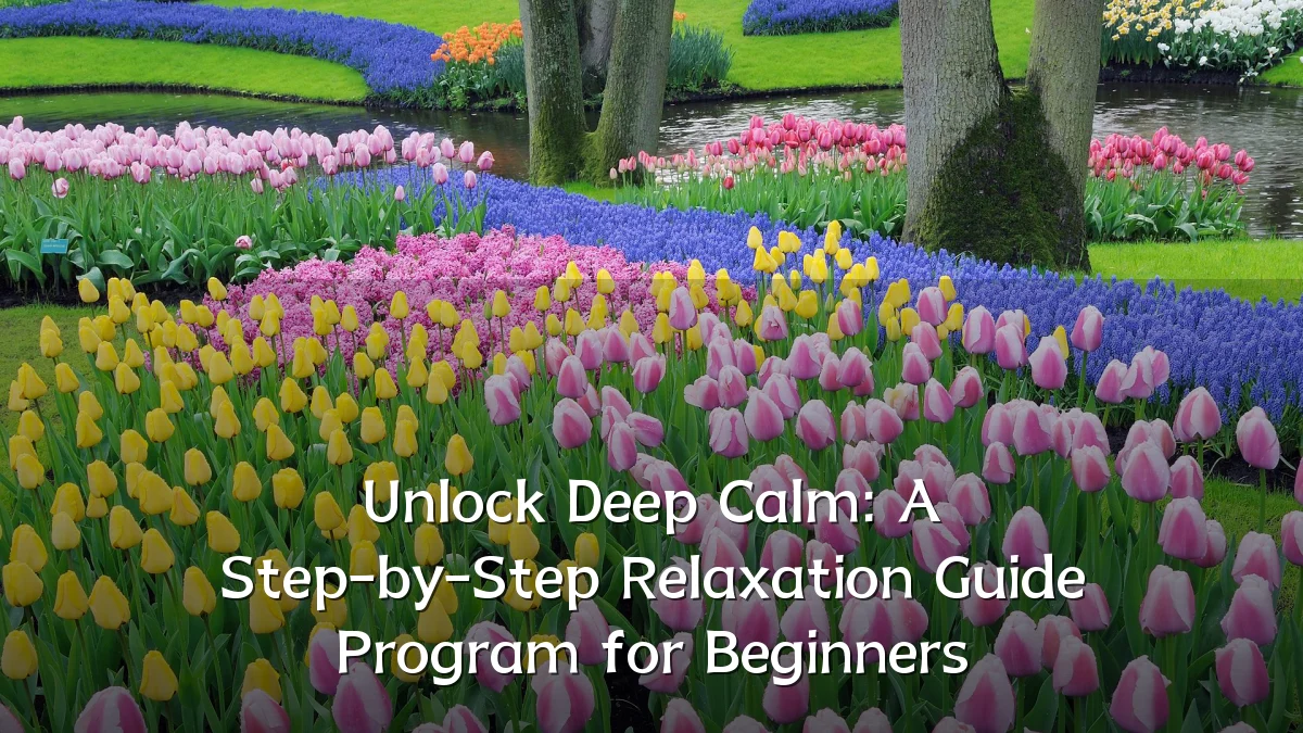 Unlock Deep Calm: A Step-by-Step Relaxation Guide Program for Beginners