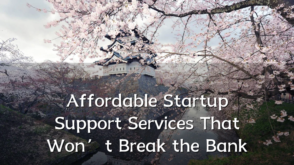 Affordable Startup Support Services That Won’t Break the Bank