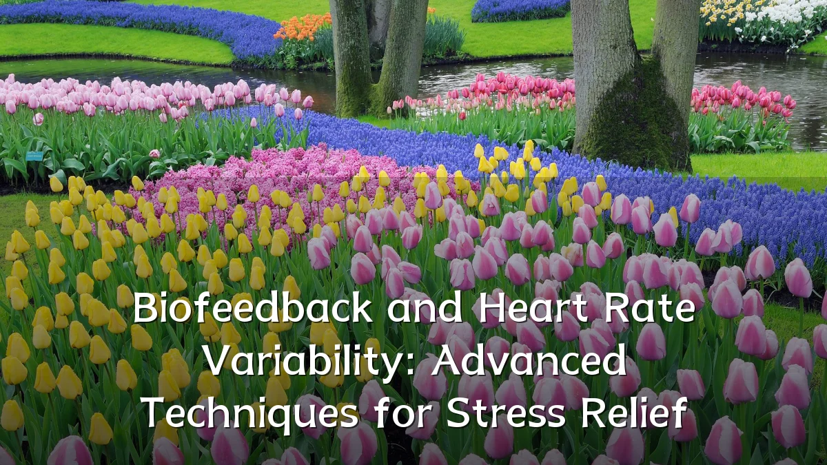 Biofeedback and Heart Rate Variability: Advanced Techniques for Stress Relief