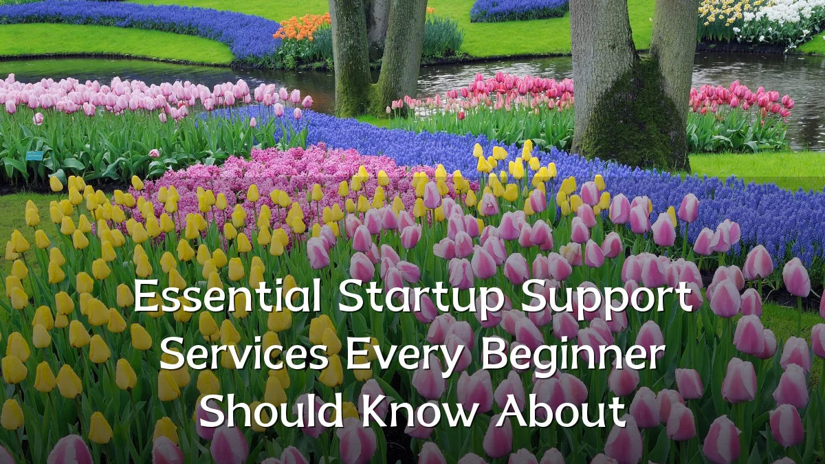 Essential Startup Support Services Every Beginner Should Know About