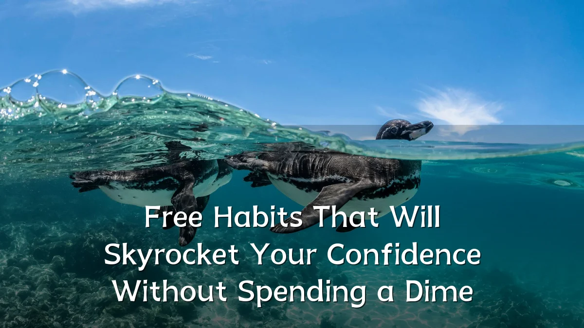 Free Habits That Will Skyrocket Your Confidence Without Spending a Dime