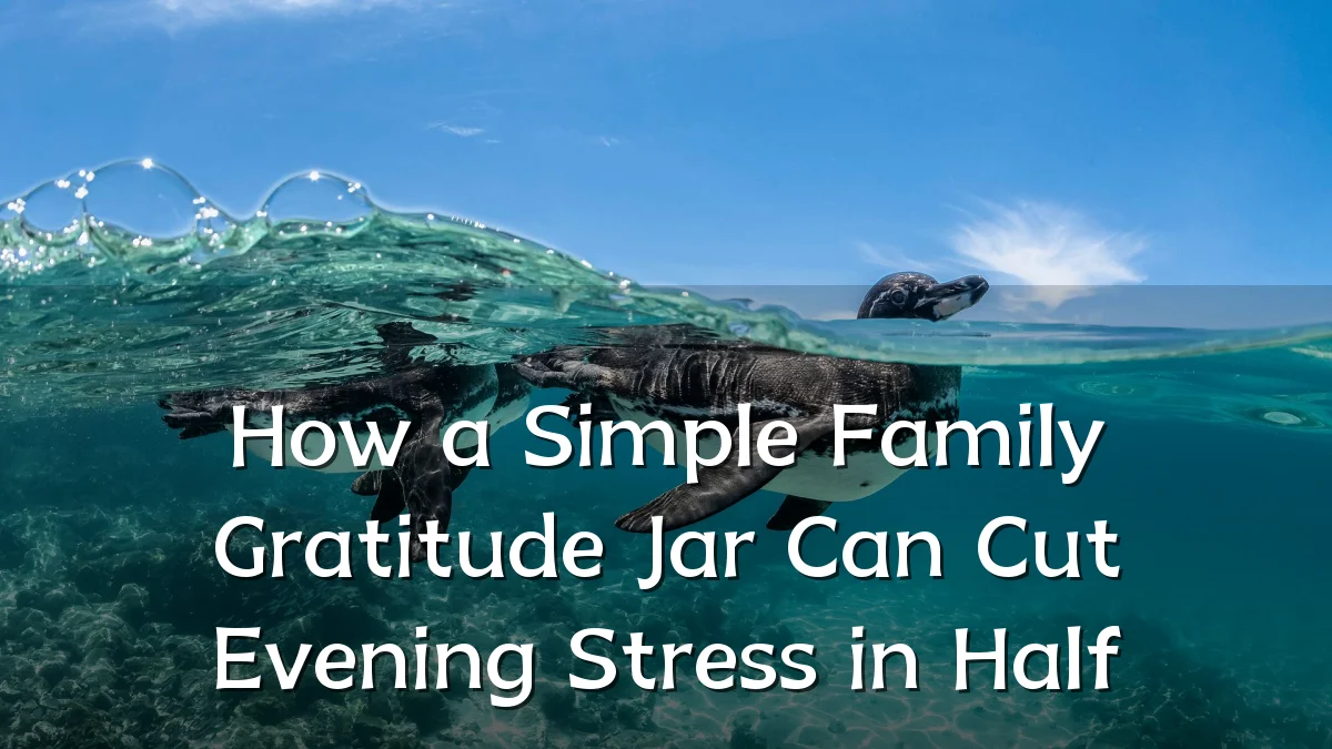 How a Simple Family Gratitude Jar Can Cut Evening Stress in Half