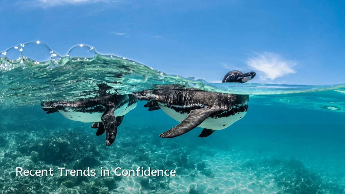 Recent Trends in Confidence