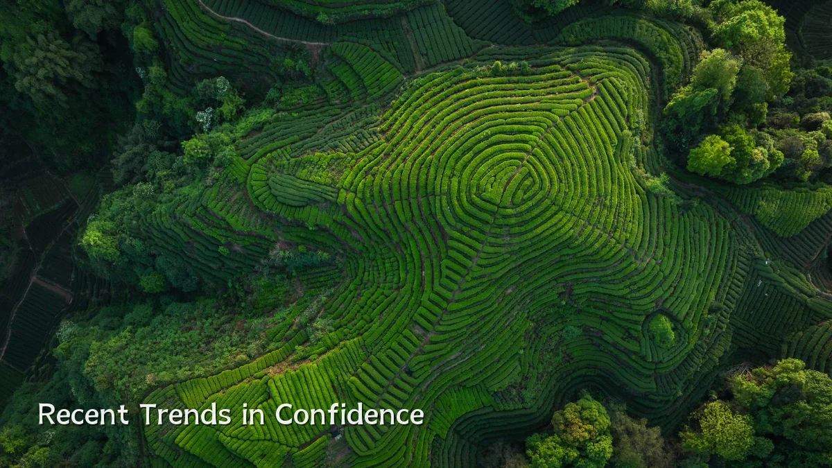 Recent Trends in Confidence