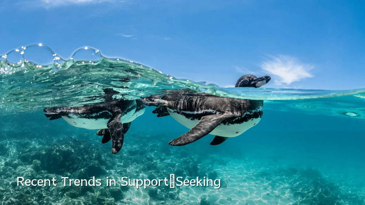 Recent Trends in Support‑Seeking