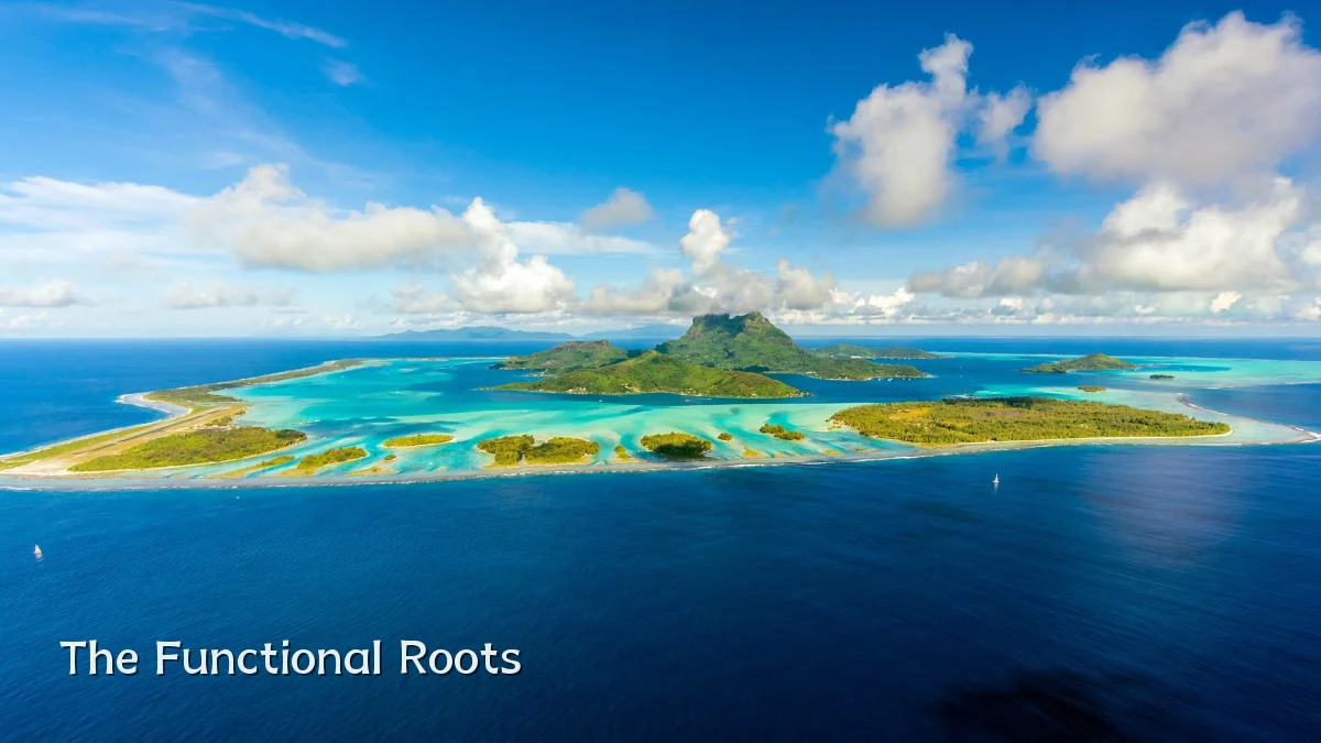 The Functional Roots
