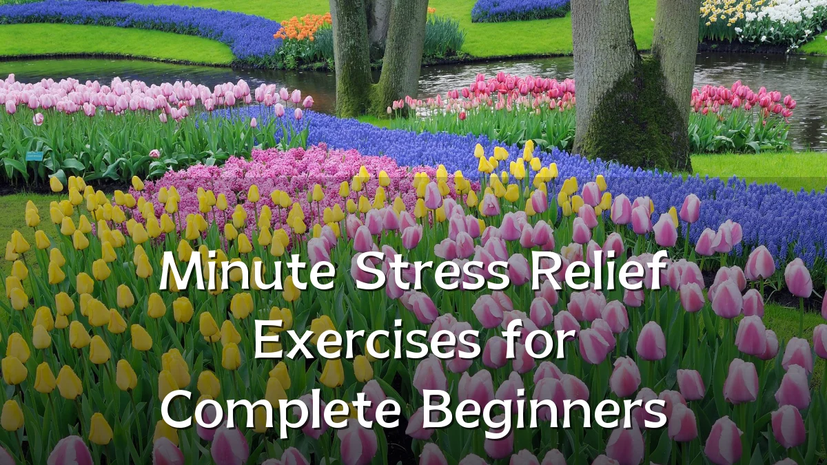 Minute Stress Relief Exercises for Complete Beginners