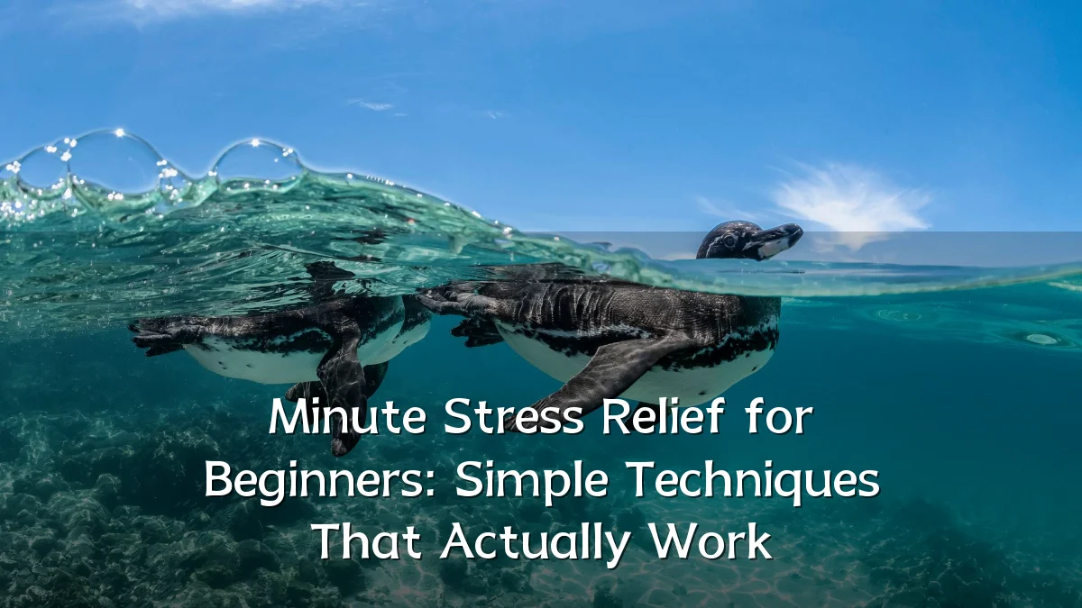 Minute Stress Relief for Beginners: Simple Techniques That Actually Work