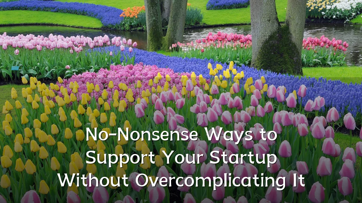 No-Nonsense Ways to Support Your Startup Without Overcomplicating It
