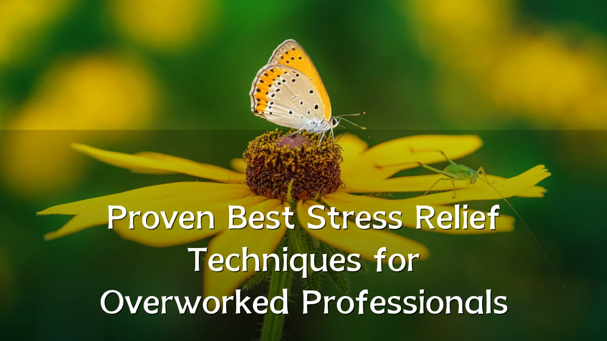 Proven Best Stress Relief Techniques for Overworked Professionals