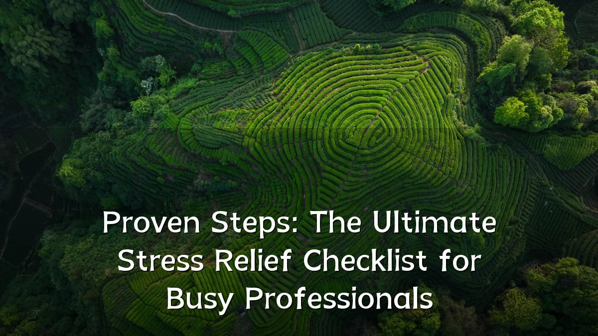 Proven Steps: The Ultimate Stress Relief Checklist for Busy Professionals