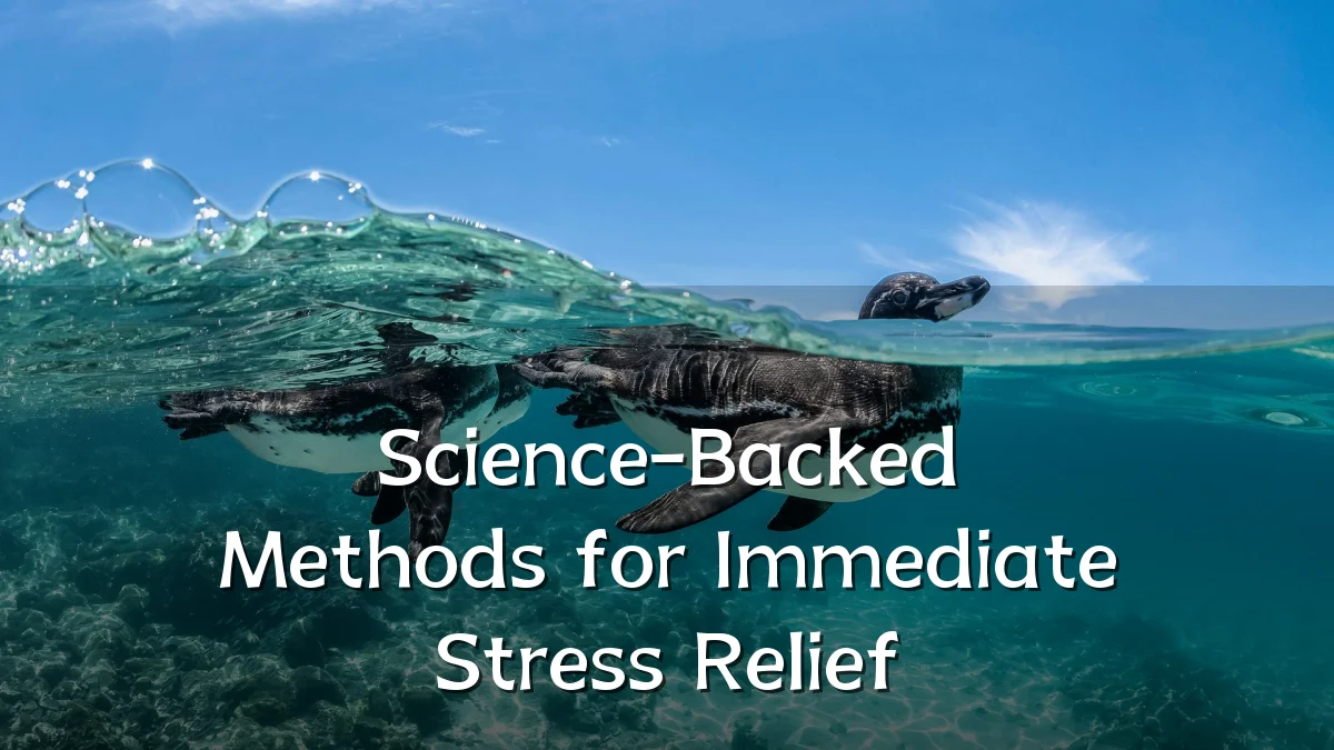 Science-Backed Methods for Immediate Stress Relief