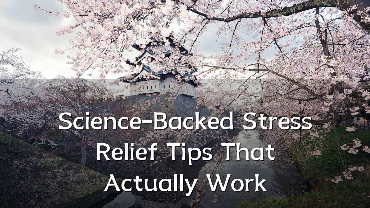 Science-Backed Stress Relief Tips That Actually Work