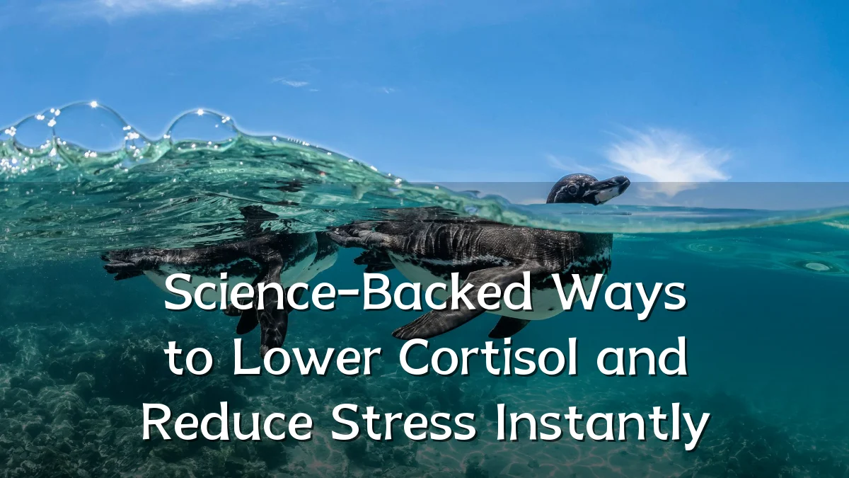 Science-Backed Ways to Lower Cortisol and Reduce Stress Instantly