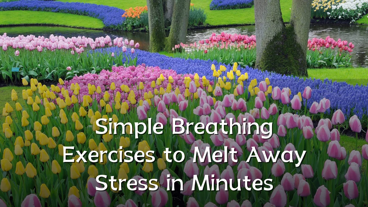 Simple Breathing Exercises to Melt Away Stress in Minutes