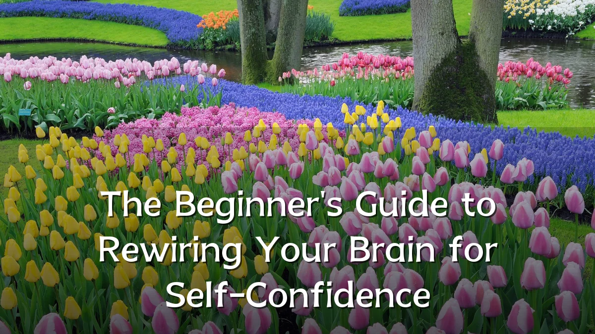 The Beginner's Guide to Rewiring Your Brain for Self-Confidence