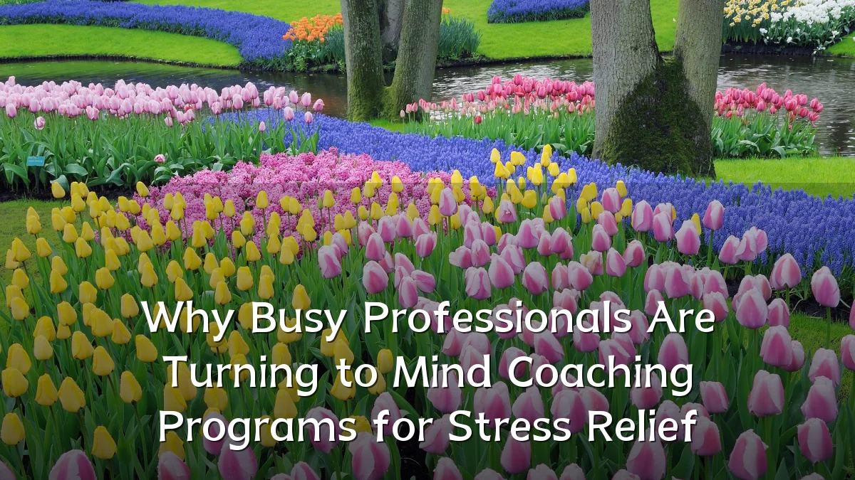Why Busy Professionals Are Turning to Mind Coaching Programs for Stress Relief