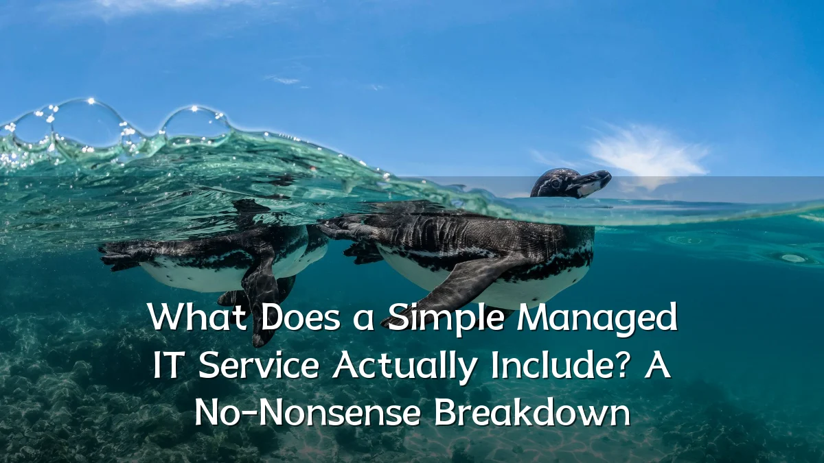 What Does a Simple Managed IT Service Actually Include? A No-Nonsense Breakdown